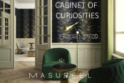 Cabinet of Curiosities de chez Masureel