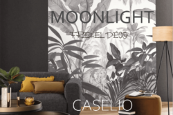 Moonlight de chez Caselio