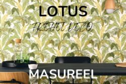 Lotus de chez Masureel