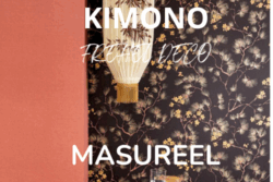 Kimono de chez Masureel