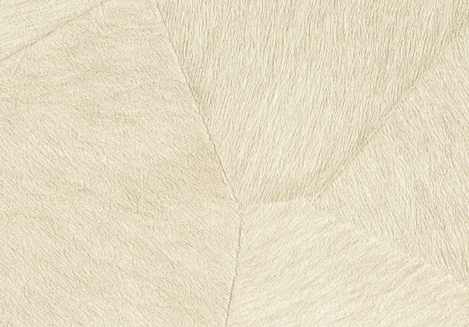 Pampa – Image 11