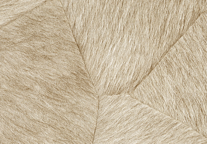 Pampa – Image 10