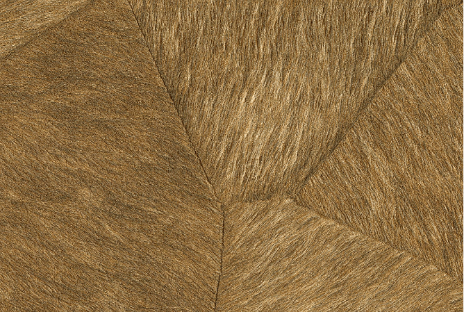 Pampa – Image 7