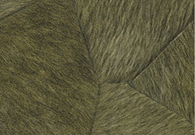 Pampa – Image 4