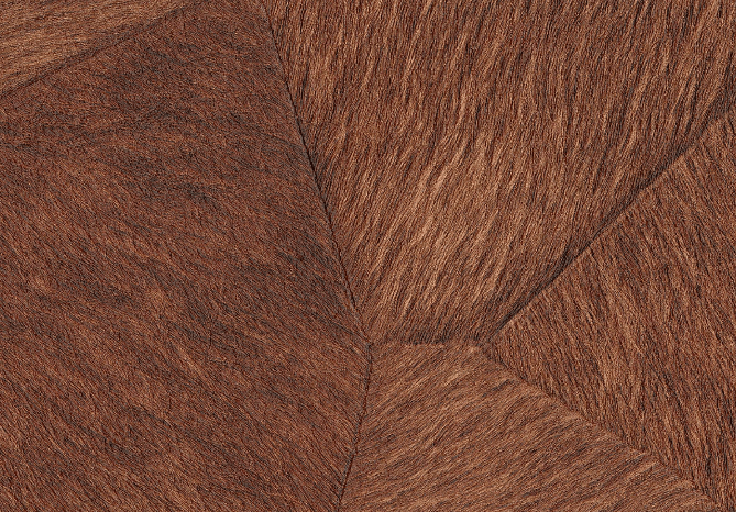 Pampa – Image 3